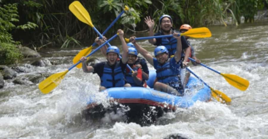 Ubud: Ayung River Rafting Adventure with Lunch and Transport - What to Expect from the Ubud Ayung River Rafting Tour