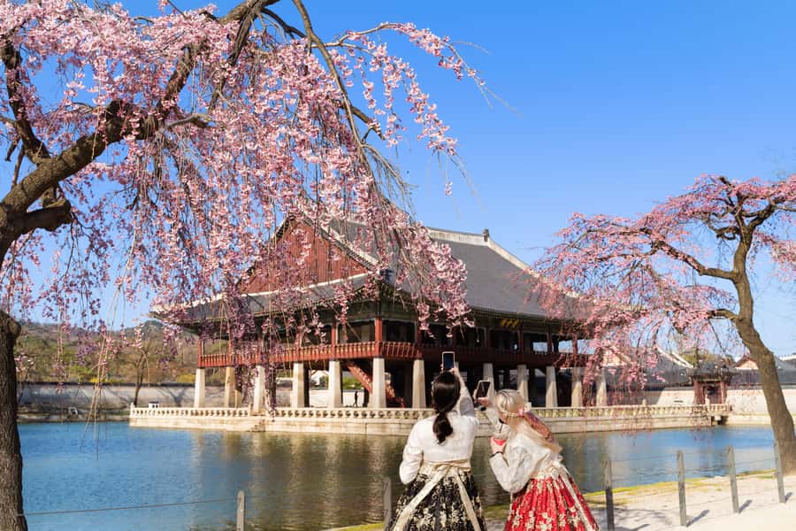 Seoul: Private City Tour with Guide and Photos - Key Points