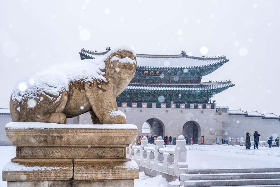 Seoul: Private City Tour with Guide and Photos - The Practicalities: What You Need to Know