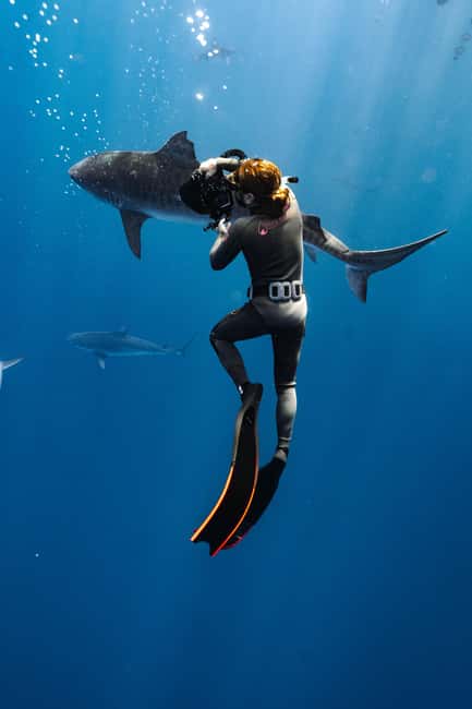 Oahu: Cageless Shark Dive Adventure - Final Thoughts