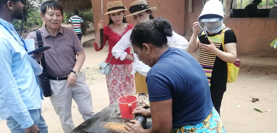 Habarana: Hiriwadunna Village Tour with Lunch - Key Points