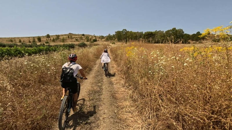 Valley Of The Temples By E-Bike With Picnic Included - Booking and Logistics