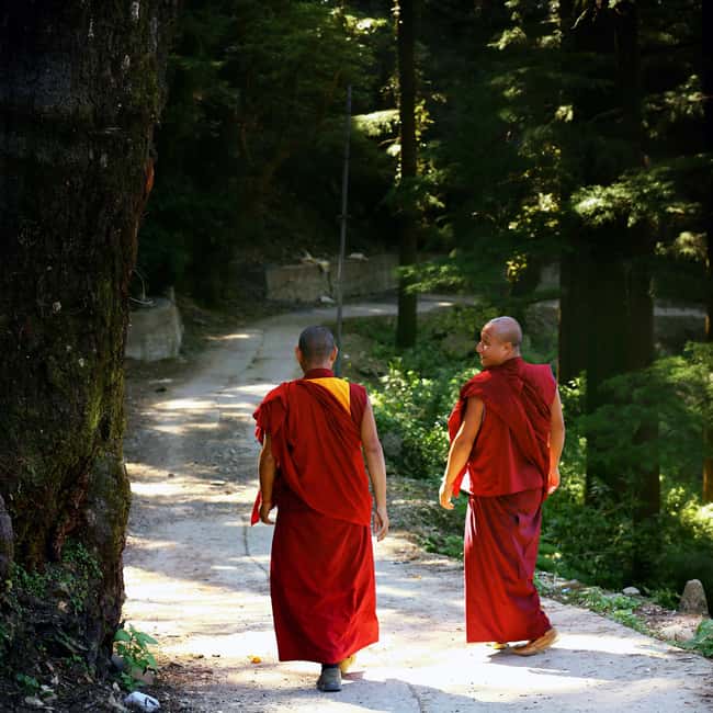 Private 2-Days McLeodGanj & Dharamshala Guided Tour - The Sum Up
