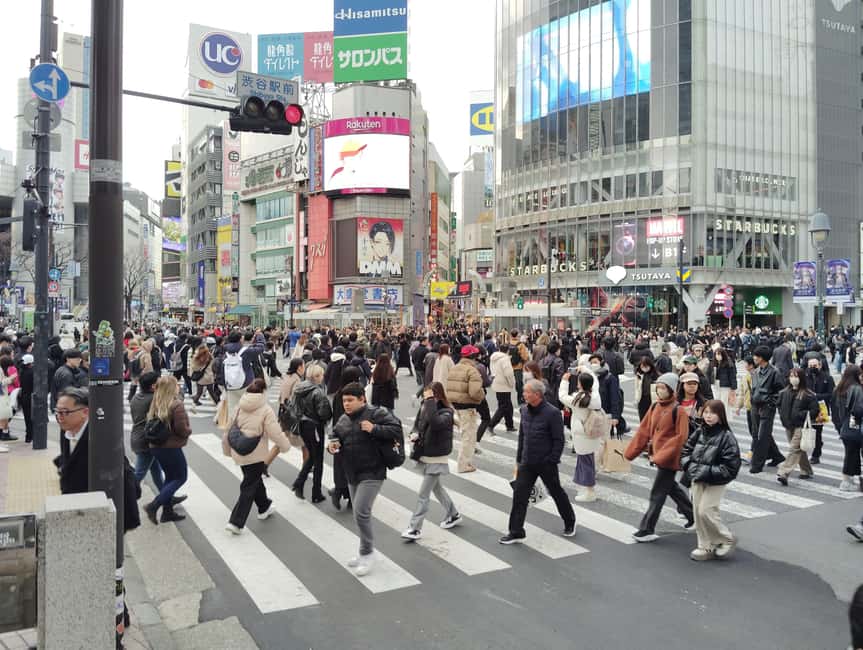 Tokyo: Shinjyuku & Shibuya 2-Hour City Tour - Good To Know