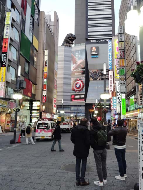 Tokyo: Shinjyuku & Shibuya 2-Hour City Tour - What to Expect from the Tour