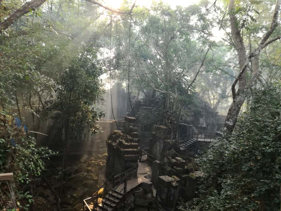 Private Beng Mealea Tour  The Lost Jungle Temple Experience - A Closer Look at the Itinerary