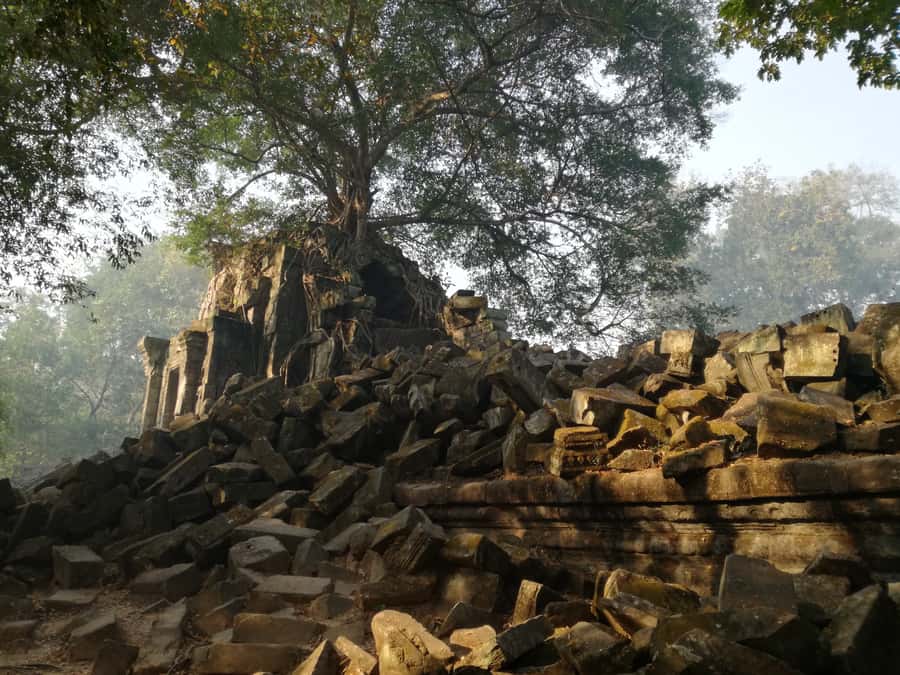 Private Beng Mealea Tour  The Lost Jungle Temple Experience - Why Choose This Beng Mealea Tour?