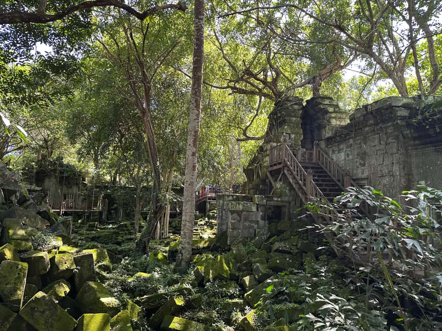 Private Beng Mealea Tour  The Lost Jungle Temple Experience - Final Thoughts
