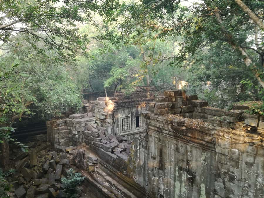 Private Beng Mealea Tour  The Lost Jungle Temple Experience - The Experience’s Value