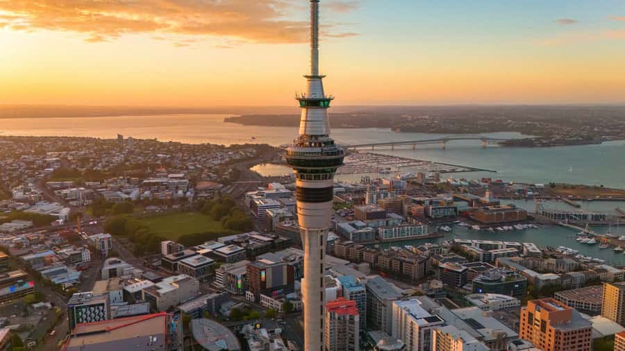 Auckland Museum and Highlight Sightseeing Tour - A Well-Rounded Introduction to Auckland