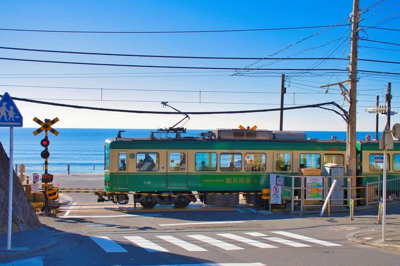 From Tokyo: Kamakura, Great Buddha, and Enoshima Bus Tour - Key Points