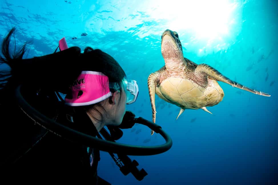 Cairns: Great Barrier Reef 5 Day Learn to Dive Course - Key Points