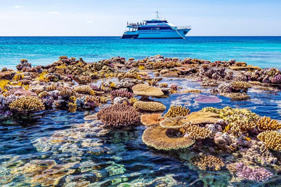 Cairns: Great Barrier Reef 5 Day Learn to Dive Course - The Dive Experience: Why It Matters