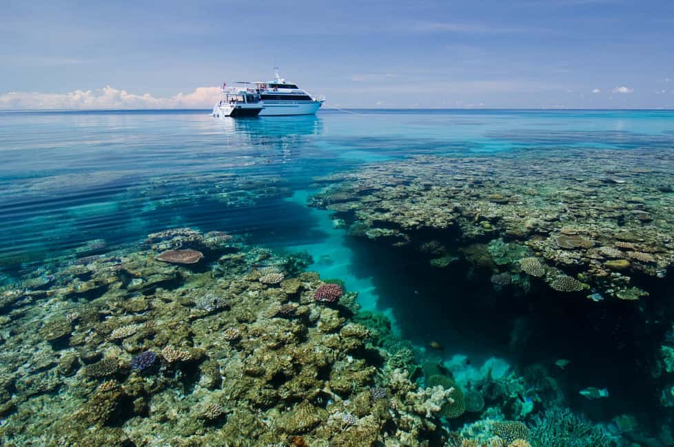 Cairns: Great Barrier Reef 5 Day Learn to Dive Course - Exploring the Itinerary: What to Expect