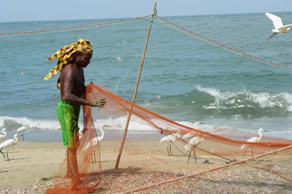 Negombo Private Tour: Market, Temples & Canal - Breaking Down the Itinerary