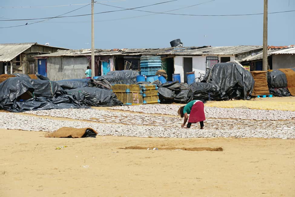 Negombo Private Tour: Market, Temples & Canal - The Sum Up