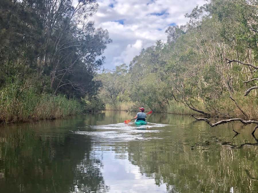 Kingscliff: 2 Hour Kayak Fishing Adventure (Self-Guided) - An In-Depth Look at the Experience
