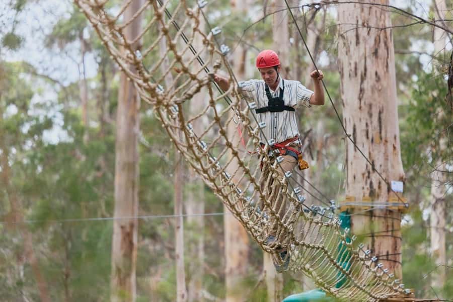 Pemberton: 2.5h Ultimate Ziplines & High Ropes Experience - Who Should Consider This Tour?