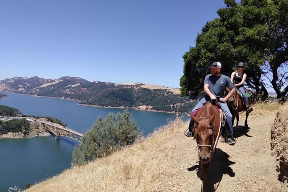 Sonoma: Horseback Riding Tour to Skaggs Vista Mountain - Who Should Consider This Experience?