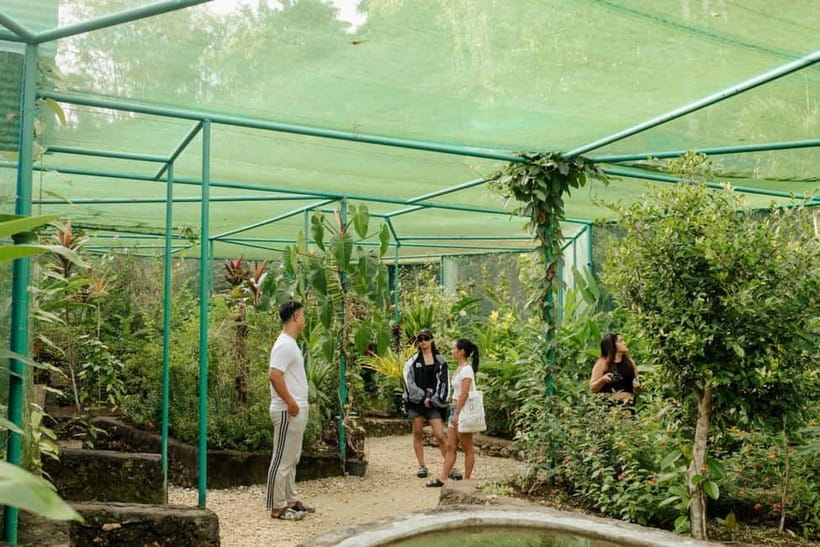 Bohol and Siquijor: 5-Day Guided Trip - Discovering Bohol and Siquijor: A Practical Overview