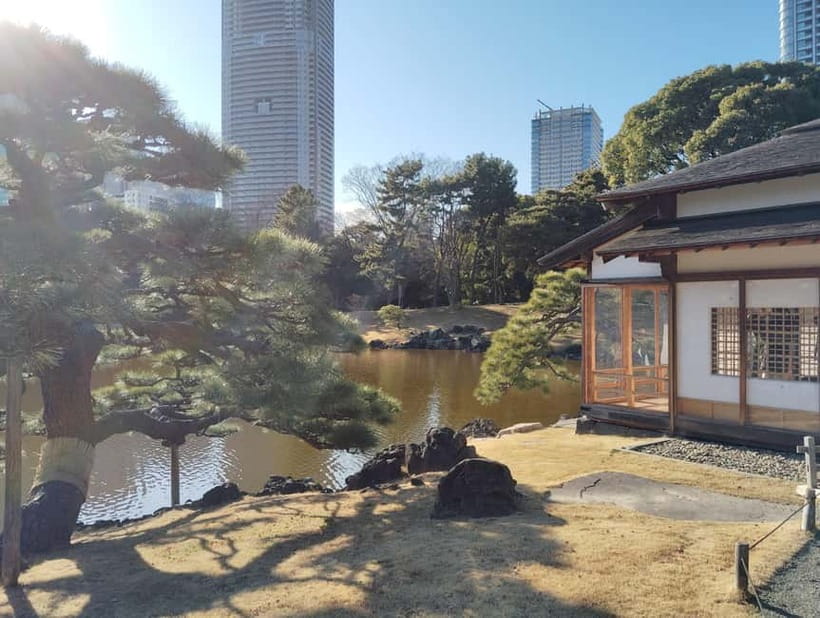 Tokyo: Hama-rikyu Garden Guided Tour with Entry Ticket - A Deep Dive into the Hama-rikyu Garden Guided Tour