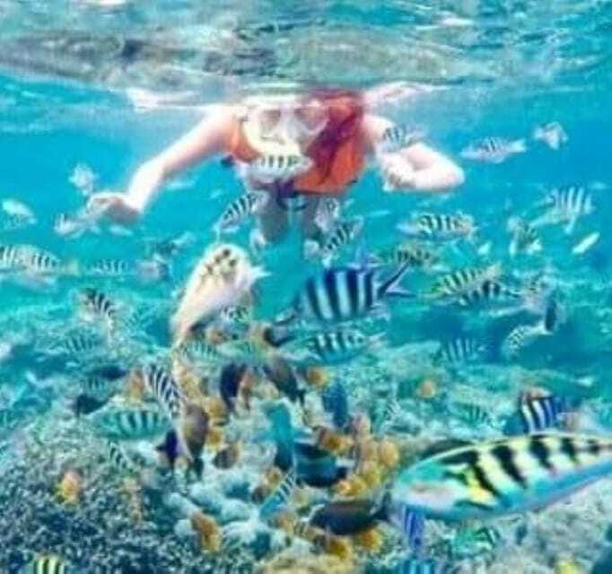 SNORKELING AT BLUELAGOON SPOT - Timing and Practicalities