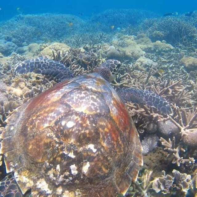 SNORKELING AT BLUELAGOON SPOT - Who Should Consider This Tour?