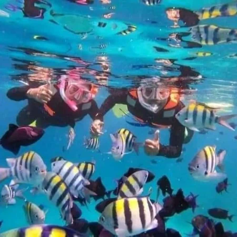 SNORKELING AT BLUELAGOON SPOT - The Guide and Group Experience