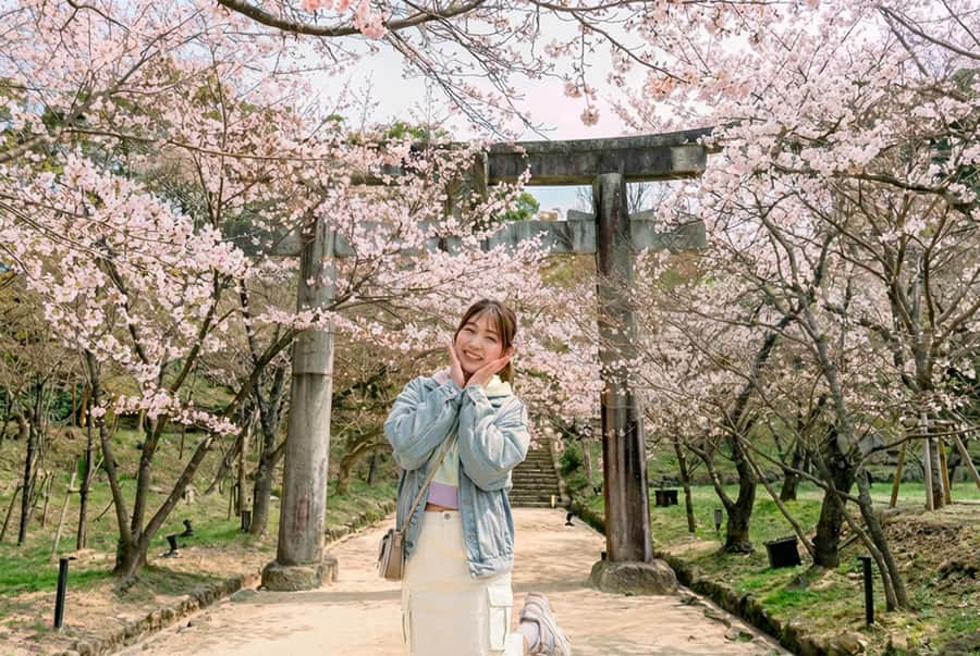 Fukuoka: Seafood Market and Local Flavors Tour with Dazaifu - Discovering Fukuoka’s Flavors and Heritage