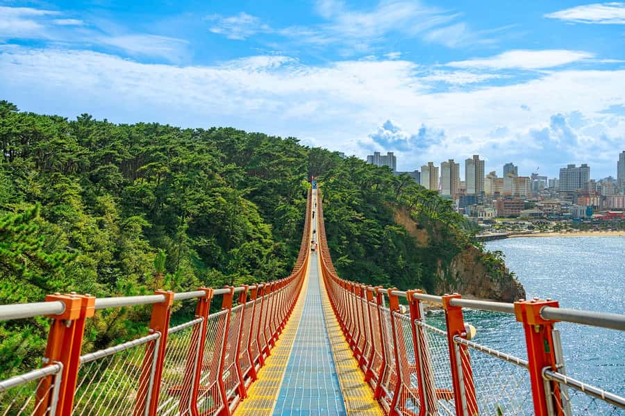 Busan: 7 Highlights Gyeongju City One Day Tour - The Convenience of a Well-Organized Itinerary