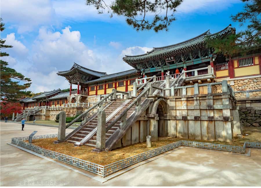 Busan: 7 Highlights Gyeongju City One Day Tour - Practical Considerations