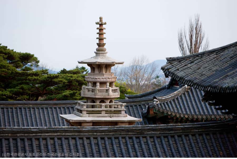 Busan: 7 Highlights Gyeongju City One Day Tour - Frequently Asked Questions  