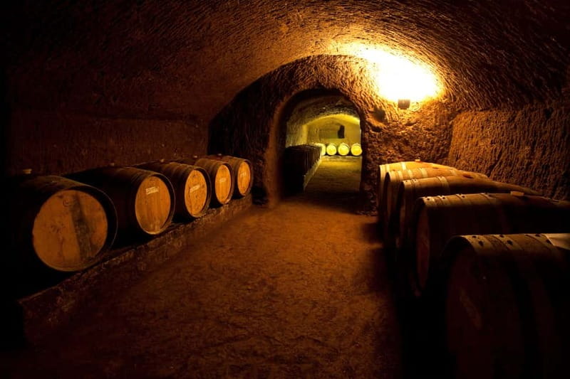 Orvieto: Tour and wine tasting at Tenuta Le Velette - FAQ