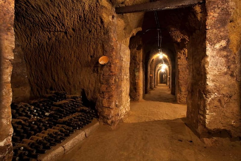 Orvieto: Tour and wine tasting at Tenuta Le Velette - Exploring the Heart of Umbria: A Deep Dive into the Tenuta Le Velette Tour