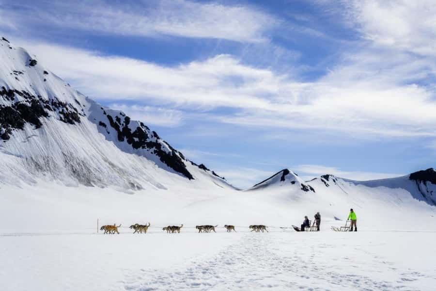 Seward: Heli Tour & Glacier Dogsled with 2 Landings - What Makes This Tour Stand Out