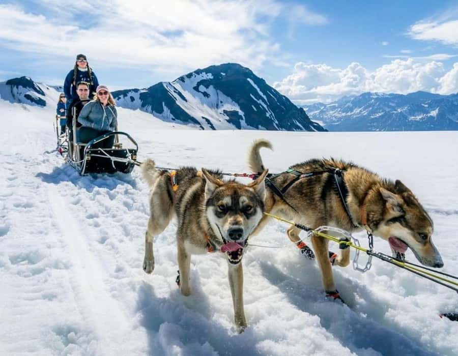Seward: Heli Tour & Glacier Dogsled with 2 Landings - The Sum Up