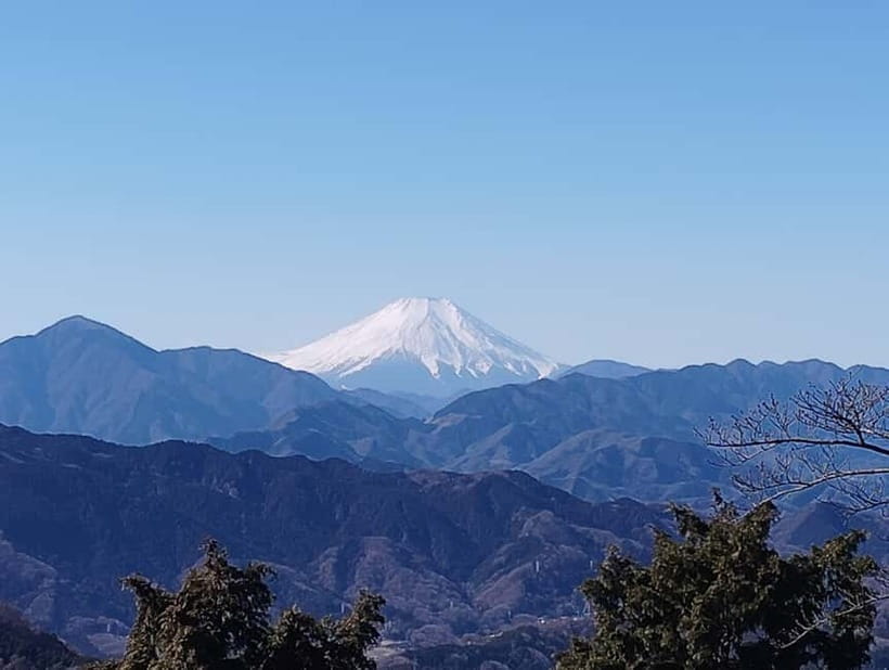 Tokyo: Mount Takao Guided Tour - Who Would Love This Tour?