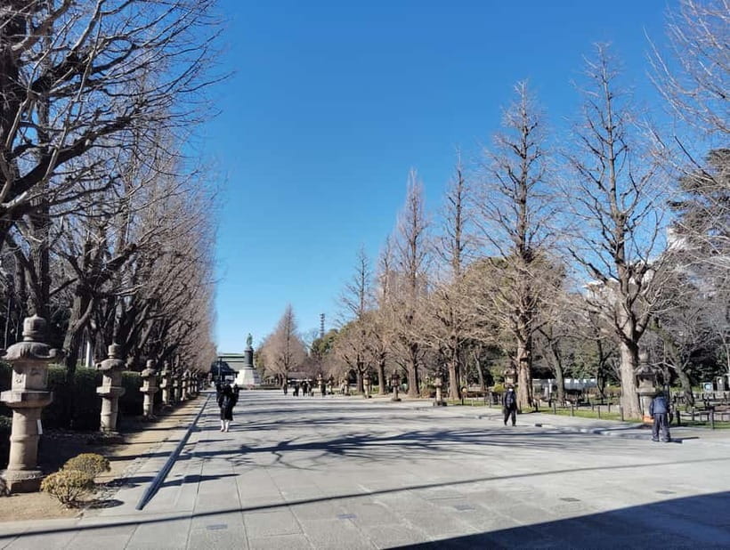 Tokyo: Yasukuni Shrine and Yushukan Museum Guided Tour - Who is This Tour Best For?