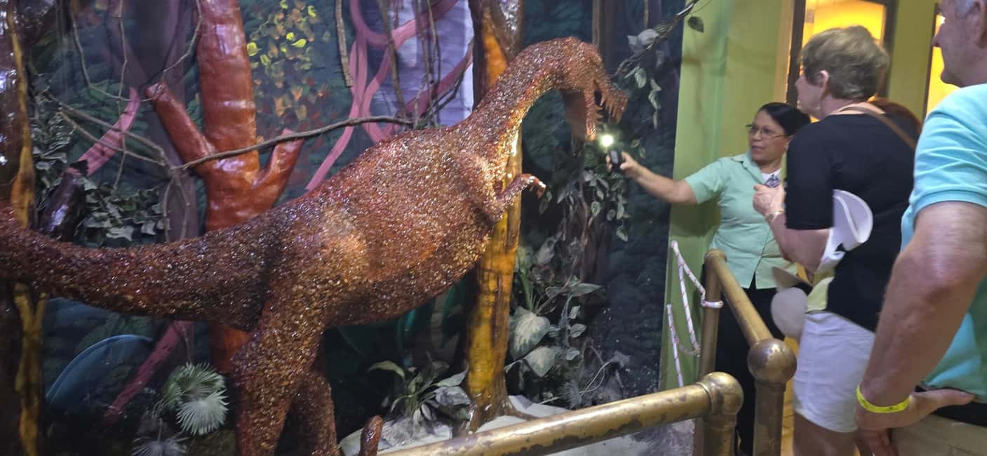 Puerto Plata: Scenic City Tour with Mount Isabel and Lunch - A Deep Dive into the Puerto Plata Scenic City Tour