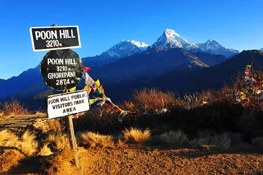 Pokhara: Easy 3-Day Poon Hill Trek - What Makes the 3-Day Poon Hill Trek Stand Out?