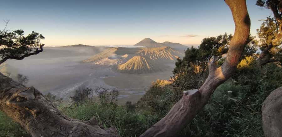 Bali: Mount Bromo Sunrise Tour with Transfer Options - The Itinerary in Detail