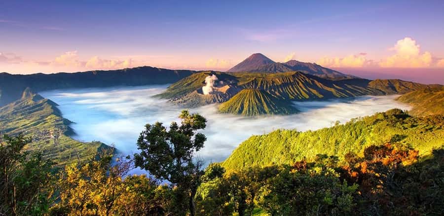 Bali: Mount Bromo Sunrise Tour with Transfer Options - Transportation and Group Dynamics