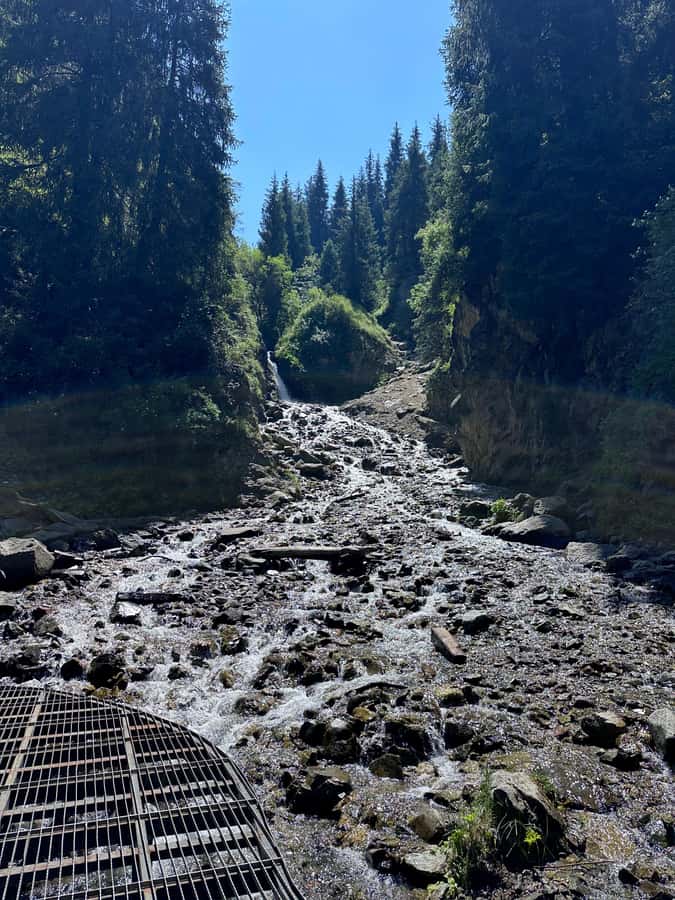 Group Tour: Big Almaty Gorge (Ayusai, Almarasan, Park) - Final Thoughts