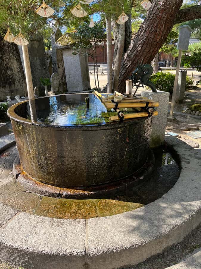 Kyoto/Osaka: Amanohashidate Panoramic View & Ine 1-Day Tour - Experience the Charm of Kyoto and Osaka with the Amanohashidate Panoramic View & Ine 1-Day Tour