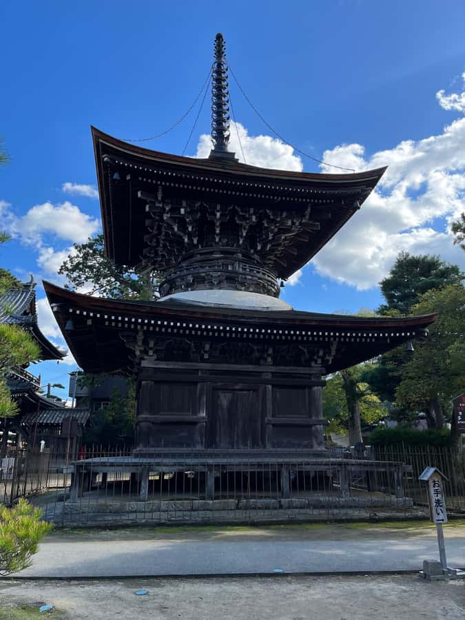 Kyoto/Osaka: Amanohashidate Panoramic View & Ine 1-Day Tour - The Sum Up