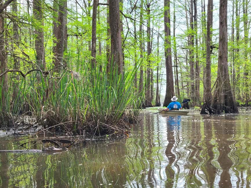 Baton Rouge: Kayak Tour Through the Historic Atchafalaya - Frequently Asked Questions