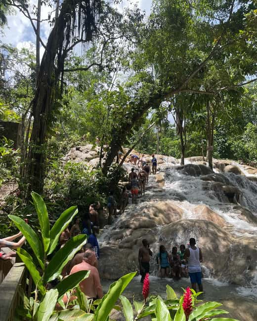 Dunns River Falls and Atv Adventure from Falmouth/ Trelawny - Key Points