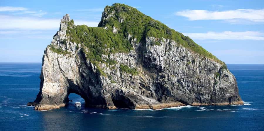 From Auckland: Hole in the rock cruise tour - Navigating the Itinerary — What You Can Expect
