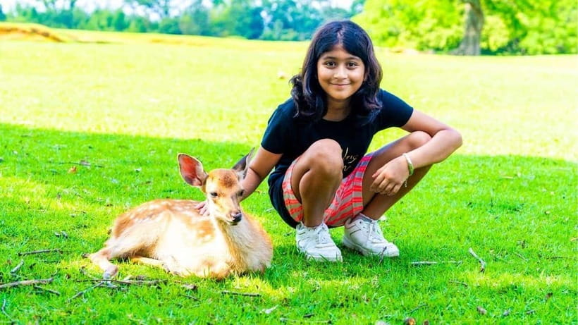 Nara: private walking tour with Deer and Temples - Who Would Love This Tour?  