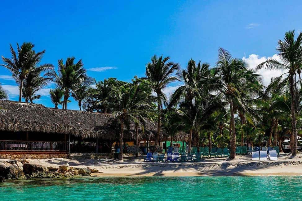 From Punta Cana: Saona Island Speedboat and Catamaran Tour - A Detailed Look at the Saona Island Tour